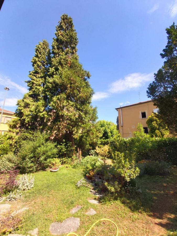 B&B Rustic Chic Casa Salva Molinella Bagian luar foto